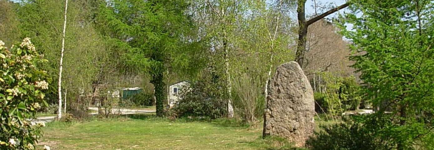 Menhir mit Narzissen